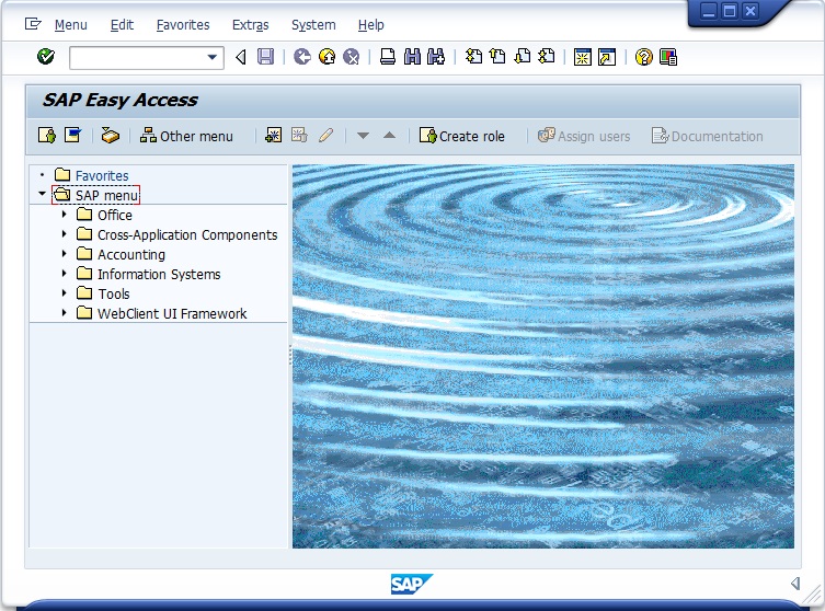 SAP Easy Access