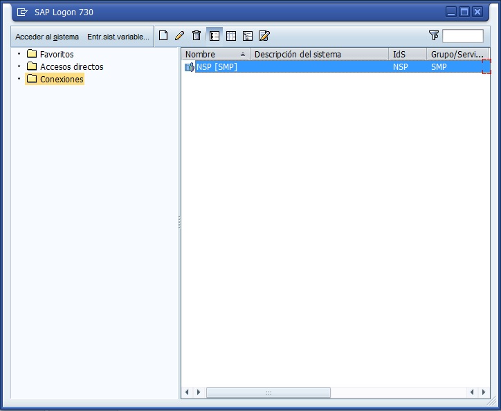 SAP GUI Initial Screen