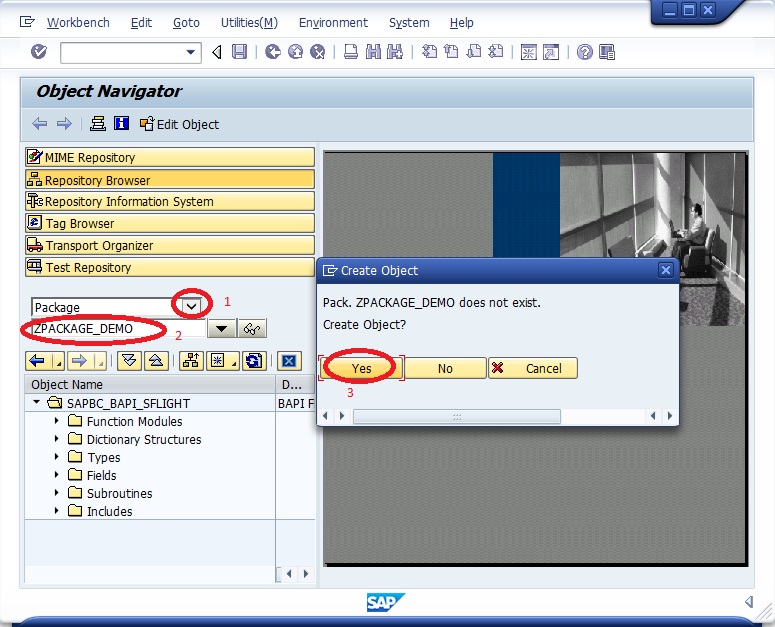 SAP Creating a package