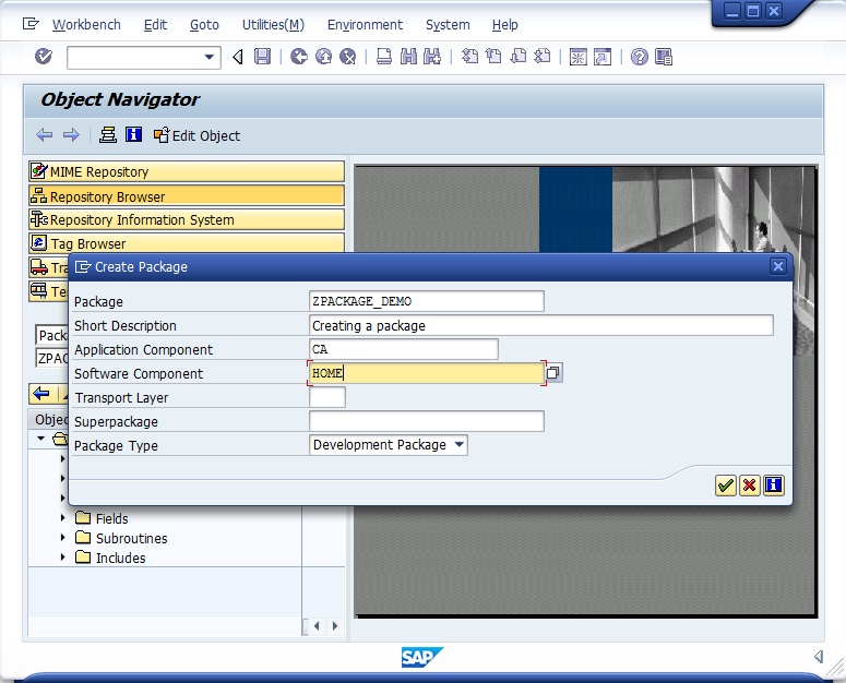SAP Creating a package 2