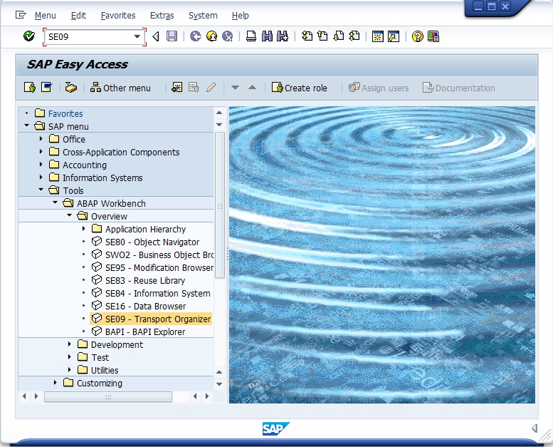 SAP Transaction SE09