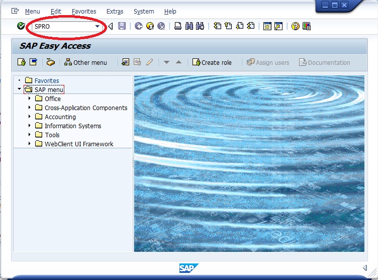 SAP Transaction