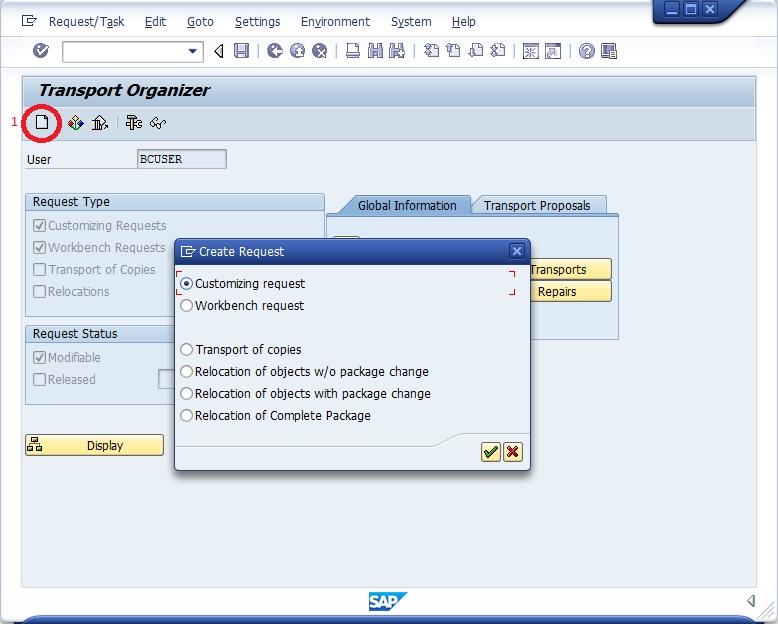 SAP Transport Organizer